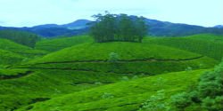 Munnar