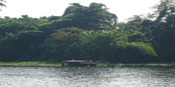 pathiramanal island